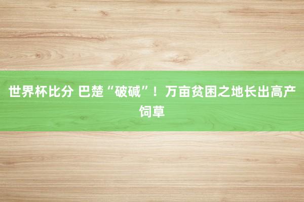 世界杯比分 巴楚“破碱”！万亩贫困之地长出高产饲草