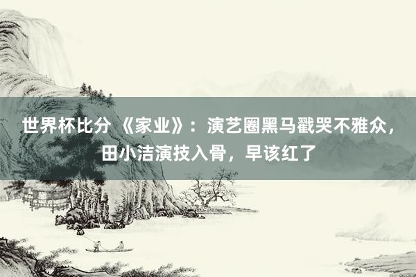 世界杯比分 《家业》：演艺圈黑马戳哭不雅众，田小洁演技入骨，早该红了