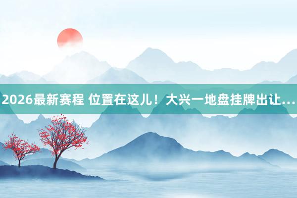 2026最新赛程 位置在这儿！大兴一地盘挂牌出让…