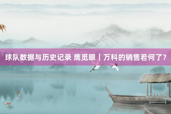 球队数据与历史记录 鹰觅眼｜万科的销售若何了？