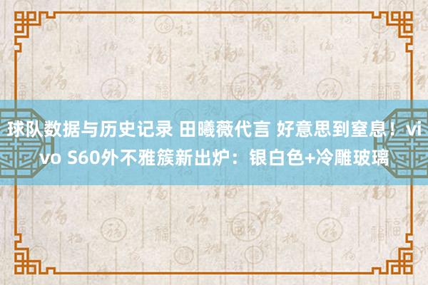 球队数据与历史记录 田曦薇代言 好意思到窒息！vivo S60外不雅簇新出炉：银白色+冷雕玻璃