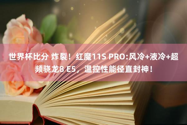 世界杯比分 炸裂！红魔11S PRO:风冷+液冷+超频骁龙8 E5，温控性能径直封神！