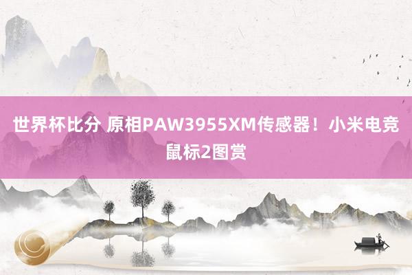 世界杯比分 原相PAW3955XM传感器！小米电竞鼠标2图赏