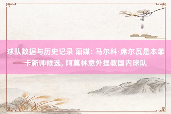 球队数据与历史记录 葡媒: 马尔科·席尔瓦是本菲卡新帅候选， 阿莫林意外捏教国内球队