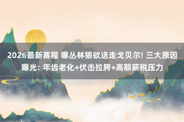 2026最新赛程 曝丛林狼欲送走戈贝尔! 三大原因曝光: 年齿老化+伏击拉胯+高额薪税压力