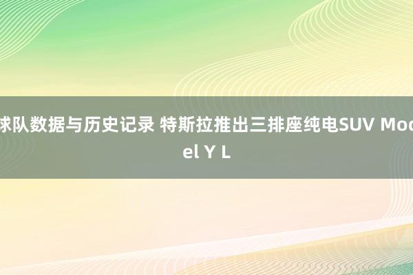 球队数据与历史记录 特斯拉推出三排座纯电SUV Model Y L