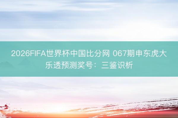 2026FIFA世界杯中国比分网 067期申东虎大乐透预测奖号：三鉴识析